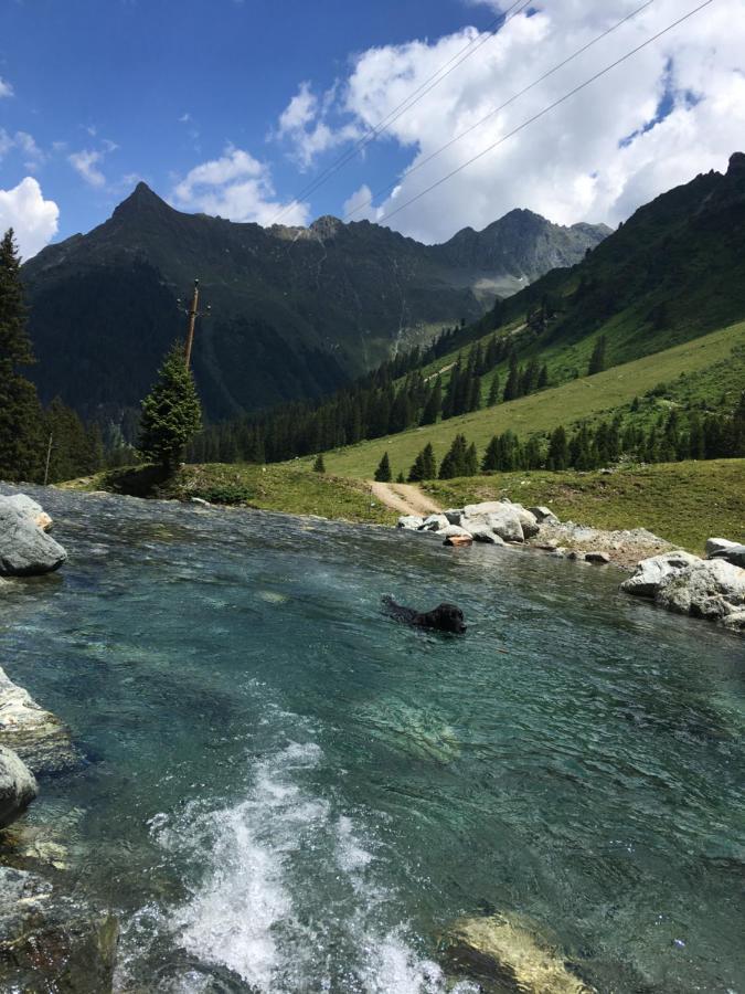 Haus Galgenul Appartement Sankt Gallenkirch Buitenkant foto