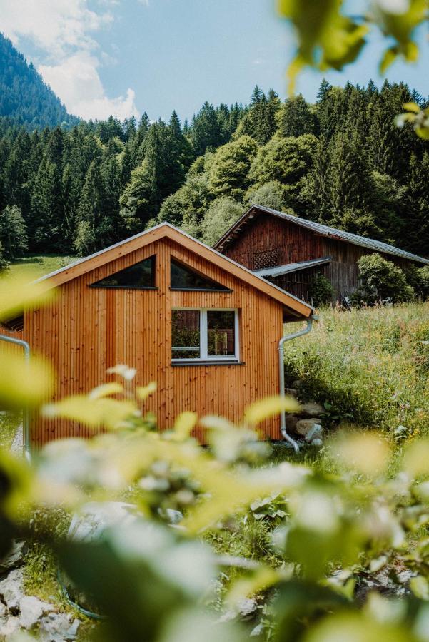 Haus Galgenul Appartement Sankt Gallenkirch Buitenkant foto