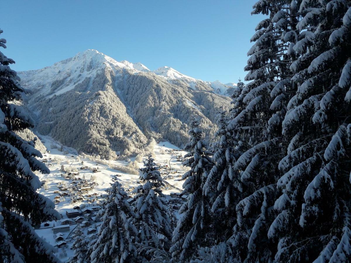 Haus Galgenul Appartement Sankt Gallenkirch Buitenkant foto